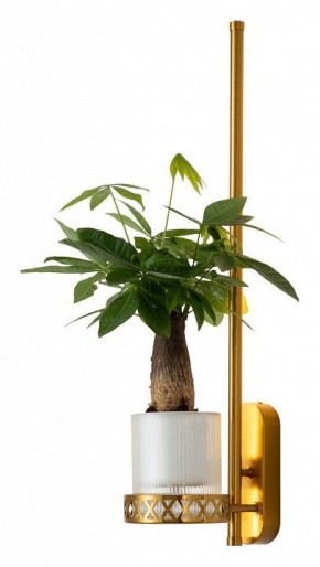 Бра Favourite Greenery 4050-1W в Можге - mozhga.mebel24.online | фото 3