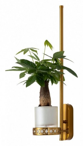 Бра Favourite Greenery 4050-1W в Можге - mozhga.mebel24.online | фото 4