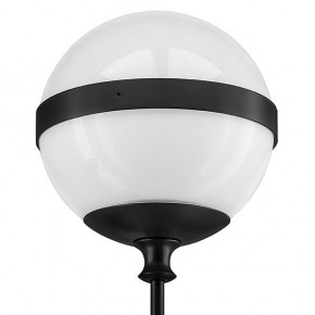 Бра Lightstar Globo 813617 в Можге - mozhga.mebel24.online | фото 3
