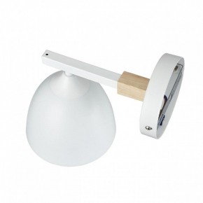 Бра Lumion Colange 8095/1W в Можге - mozhga.mebel24.online | фото 3