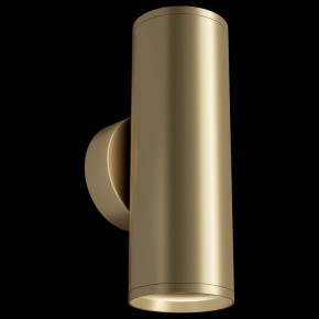 Бра Maytoni Focus S C068WL-02MG в Можге - mozhga.mebel24.online | фото 2