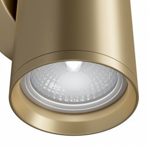 Бра Maytoni Focus S C068WL-02MG в Можге - mozhga.mebel24.online | фото 4