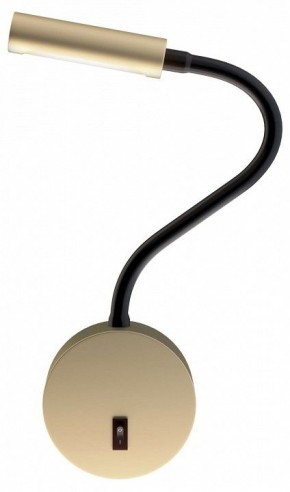 Бра Maytoni Stem C035WL-L3MG3K в Можге - mozhga.mebel24.online | фото