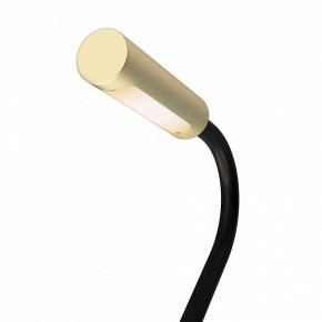 Бра Maytoni Stem C035WL-L3MG3K в Можге - mozhga.mebel24.online | фото 6