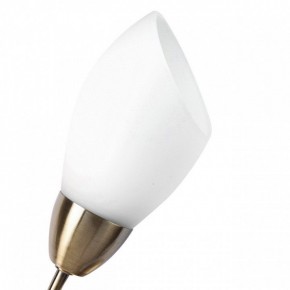 Бра MW-Light Нежность 7 356023001 в Можге - mozhga.mebel24.online | фото 2