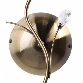 Бра MW-Light Нежность 7 356023001 в Можге - mozhga.mebel24.online | фото 3