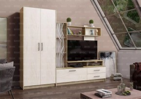 ДАРЬЯ Гостиная (Крафт серый/Крафт белый) модульная в Можге - mozhga.mebel24.online | фото
