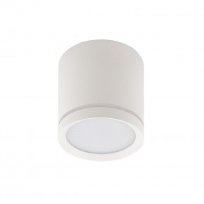 DK4013-WH Светильник накладной IP 20, 5 Вт, LED 4000, белый, алюминий/акрил в Можге - mozhga.mebel24.online | фото 2