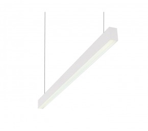 DK9124-WH Линейный светильник 30W 1250mm 4000K, белый в Можге - mozhga.mebel24.online | фото 1