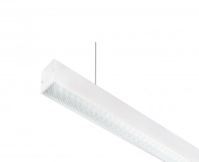 DK9124-WH Линейный светильник 30W 1250mm 4000K, белый в Можге - mozhga.mebel24.online | фото 2