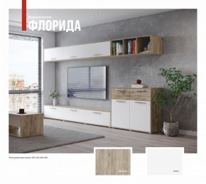 ФЛОРИДА Гостиная (модульная) дуб серый/белый в Можге - mozhga.mebel24.online | фото