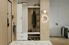 Гарнитур для прихожей Торонто в Можге - mozhga.mebel24.online | фото 5
