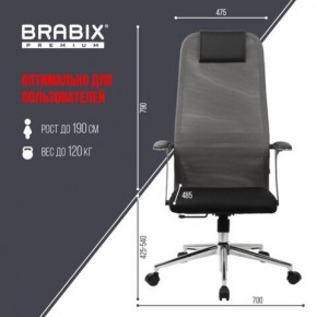 Кресло офисное BRABIX PREMIUM "Ultimate EX-801" хром, плотная двойная сетка Х2, черное/серое, 532918 в Можге - mozhga.mebel24.online | фото 5