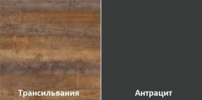 Кухонный гарнитур угловой Трансильвания 2600х1600 мм (Стол. 26 мм) в Можге - mozhga.mebel24.online | фото 3