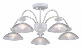 Люстра на штанге Arti Lampadari Noventa Noventa E 1.1.5 W в Можге - mozhga.mebel24.online | фото