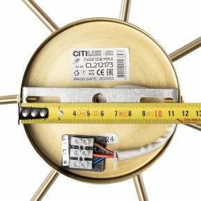 Люстра на штанге Citilux Tonga CL212173 в Можге - mozhga.mebel24.online | фото 9