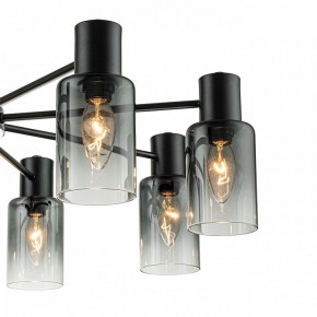 Люстра на штанге Escada Diversity 2120/8P Black в Можге - mozhga.mebel24.online | фото 5