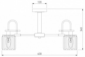 Люстра на штанге Eurosvet Tenia 70090/5 графит в Можге - mozhga.mebel24.online | фото 4