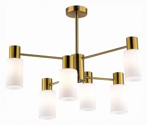 Люстра на штанге EVOLUCE Gessi SLE1139-302-06 в Можге - mozhga.mebel24.online | фото 2