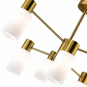 Люстра на штанге EVOLUCE Gessi SLE1139-302-06 в Можге - mozhga.mebel24.online | фото 3