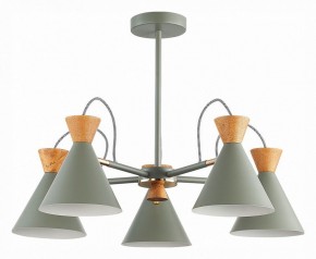 Люстра на штанге EVOLUCE Modica SLE125112-05 в Можге - mozhga.mebel24.online | фото 1