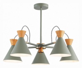 Люстра на штанге EVOLUCE Modica SLE125112-05 в Можге - mozhga.mebel24.online | фото 2