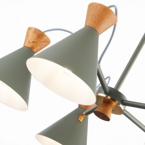 Люстра на штанге EVOLUCE Modica SLE125112-05 в Можге - mozhga.mebel24.online | фото 3