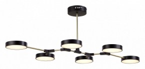 Люстра на штанге EVOLUCE Monta SLE6004-402-06 в Можге - mozhga.mebel24.online | фото 4