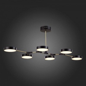 Люстра на штанге EVOLUCE Monta SLE6004-402-06 в Можге - mozhga.mebel24.online | фото 6
