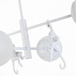 Люстра на штанге EVOLUCE Tenato SLE115102-04 в Можге - mozhga.mebel24.online | фото 9
