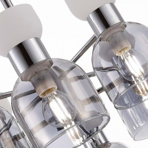 Люстра на штанге EVOLUCE Vento SLE1045-102-08 в Можге - mozhga.mebel24.online | фото 5