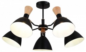 Люстра на штанге EVOLUCE VISTA SLE1256-402-05 в Можге - mozhga.mebel24.online | фото 6