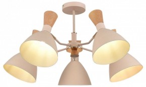 Люстра на штанге EVOLUCE VISTA SLE1256-502-05 в Можге - mozhga.mebel24.online | фото 6