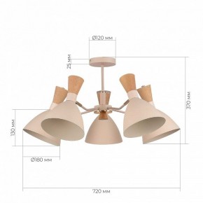 Люстра на штанге EVOLUCE VISTA SLE1256-502-05 в Можге - mozhga.mebel24.online | фото 8