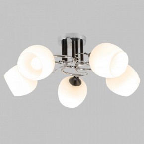 Люстра на штанге Imex MD.3618 MD.3618-5-S-CH+BK в Можге - mozhga.mebel24.online | фото 2