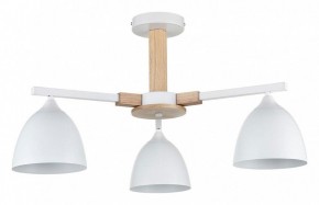 Люстра на штанге Lumion Colange 8095/3C в Можге - mozhga.mebel24.online | фото