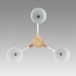 Люстра на штанге Lumion Colange 8095/3C в Можге - mozhga.mebel24.online | фото 3