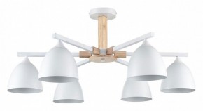 Люстра на штанге Lumion Colange 8095/6C в Можге - mozhga.mebel24.online | фото