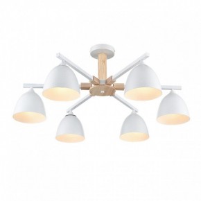 Люстра на штанге Lumion Colange 8095/6C в Можге - mozhga.mebel24.online | фото 3