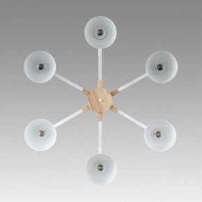 Люстра на штанге Lumion Colange 8095/6C в Можге - mozhga.mebel24.online | фото 4