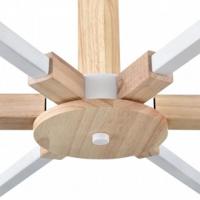 Люстра на штанге Lumion Colange 8095/6C в Можге - mozhga.mebel24.online | фото 7
