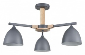 Люстра на штанге Lumion Colange 8096/3C в Можге - mozhga.mebel24.online | фото
