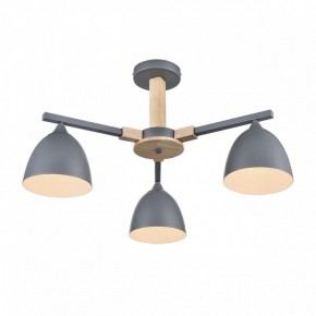 Люстра на штанге Lumion Colange 8096/3C в Можге - mozhga.mebel24.online | фото 3