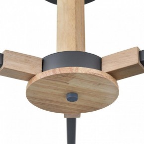 Люстра на штанге Lumion Colange 8096/3C в Можге - mozhga.mebel24.online | фото 7