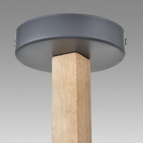 Люстра на штанге Lumion Colange 8096/3C в Можге - mozhga.mebel24.online | фото 9