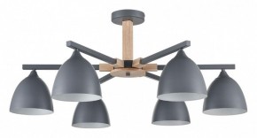 Люстра на штанге Lumion Colange 8096/6C в Можге - mozhga.mebel24.online | фото