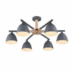 Люстра на штанге Lumion Colange 8096/6C в Можге - mozhga.mebel24.online | фото 3