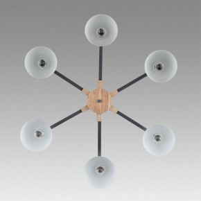 Люстра на штанге Lumion Colange 8096/6C в Можге - mozhga.mebel24.online | фото 4