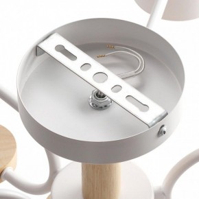Люстра на штанге Lumion Rondo 8231/6C в Можге - mozhga.mebel24.online | фото 6