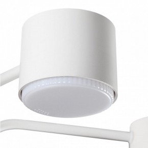 Люстра на штанге Lumion Rondo 8231/6C в Можге - mozhga.mebel24.online | фото 7